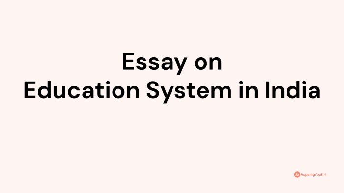 Education System Essay